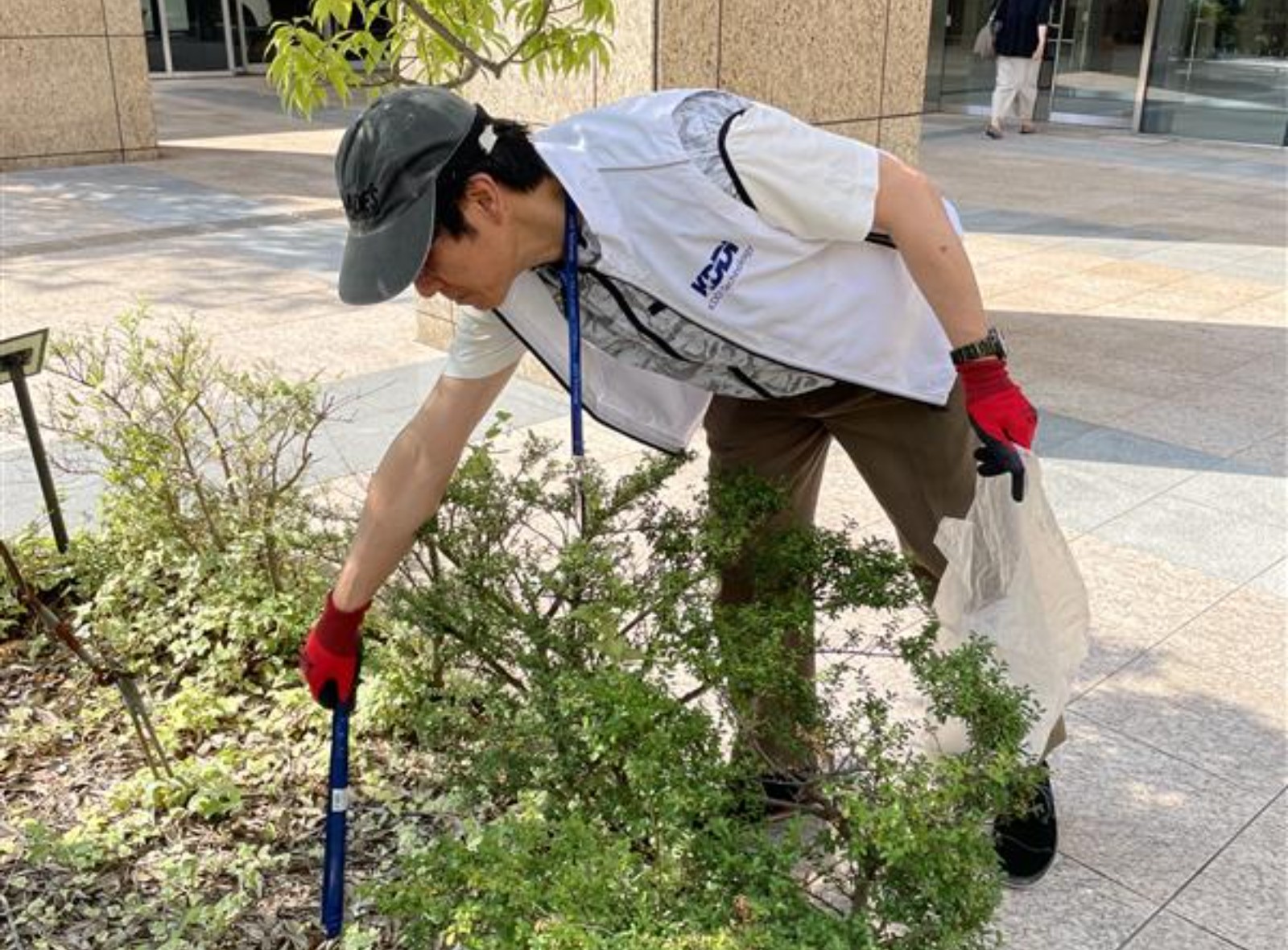 ビル前の植え込みからゴミを拾う様子の写真